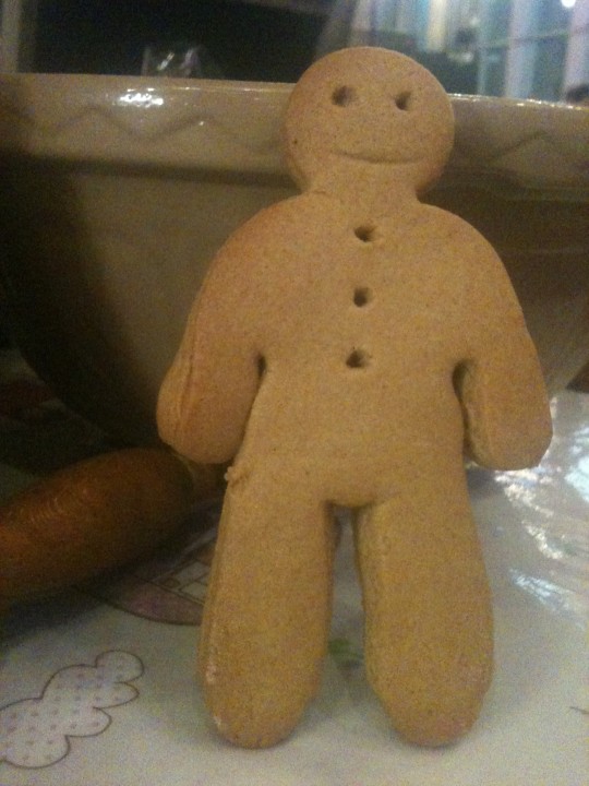 Run run as fast as you can, you can't catch me I'm the gingerbread man